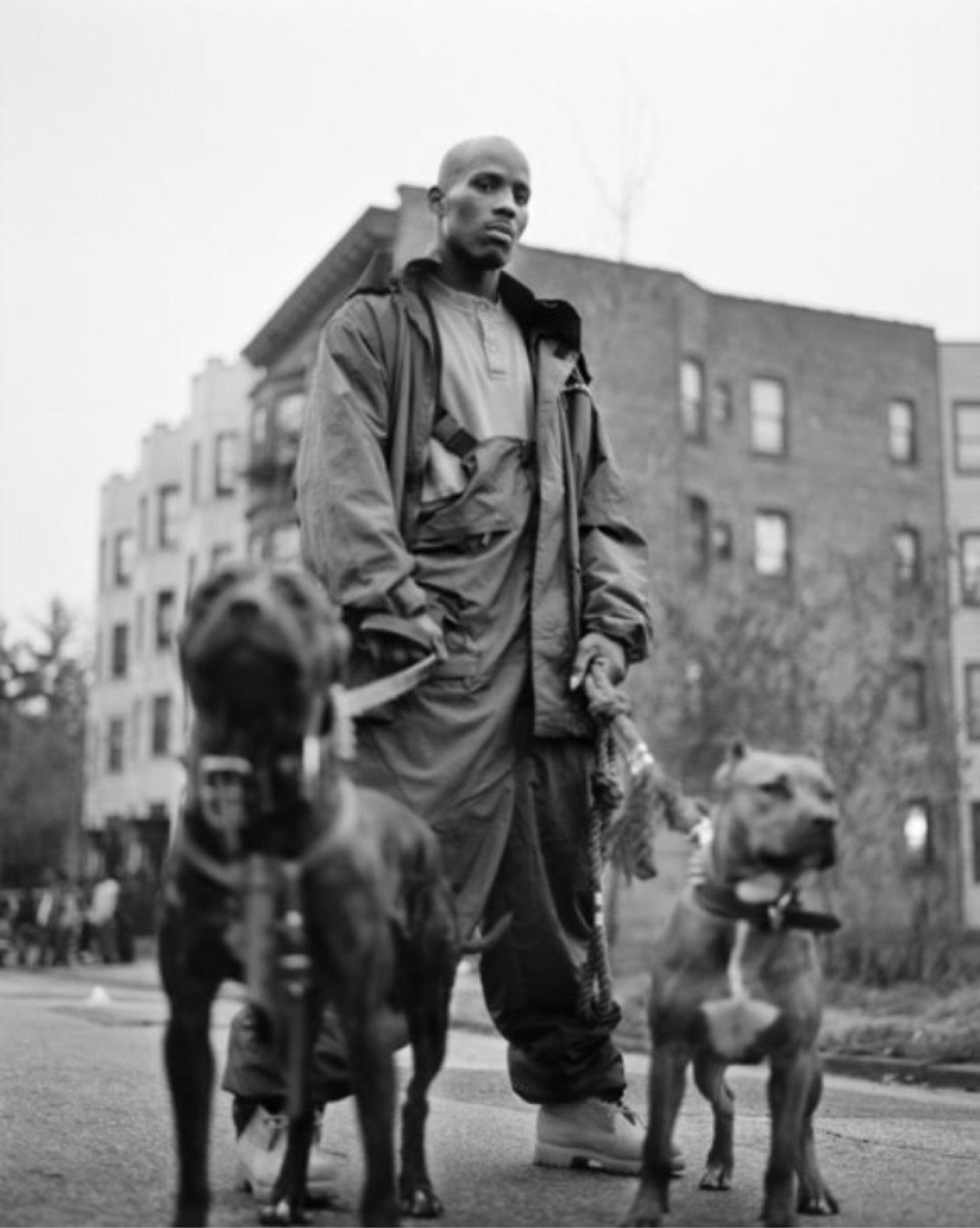 DMX POSTER