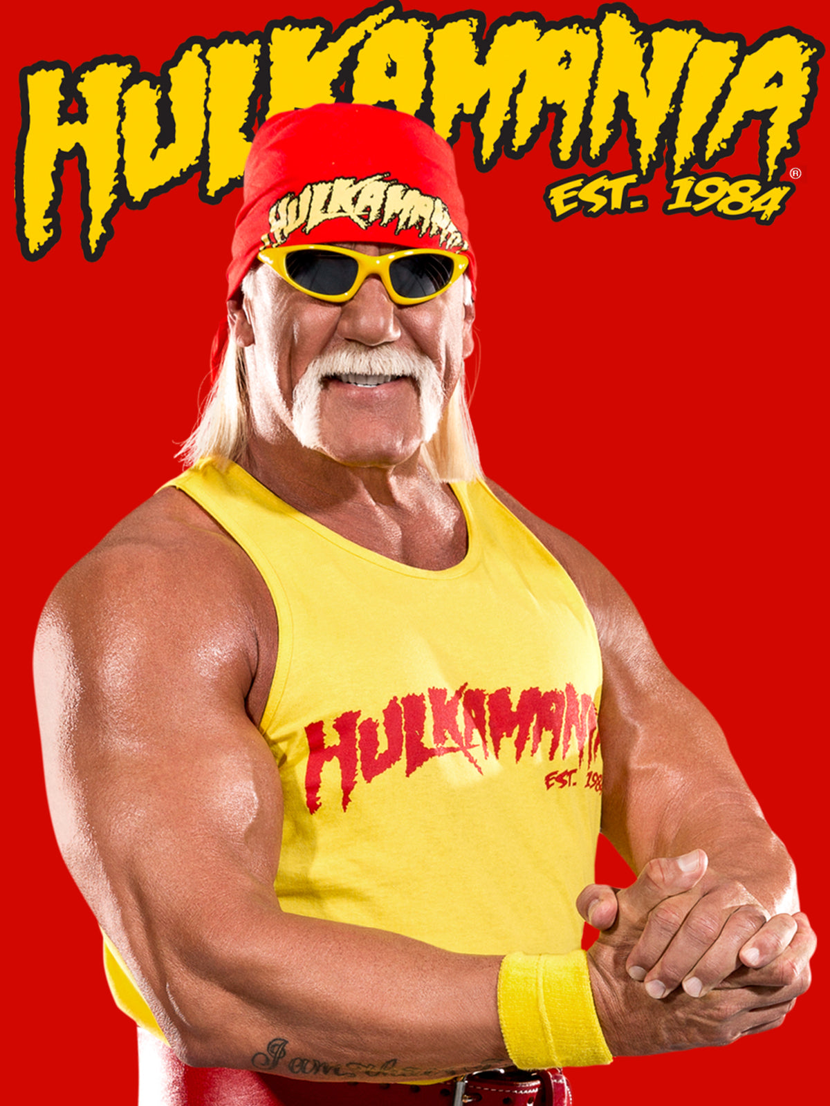 WWE HULK HOGAN POSTER